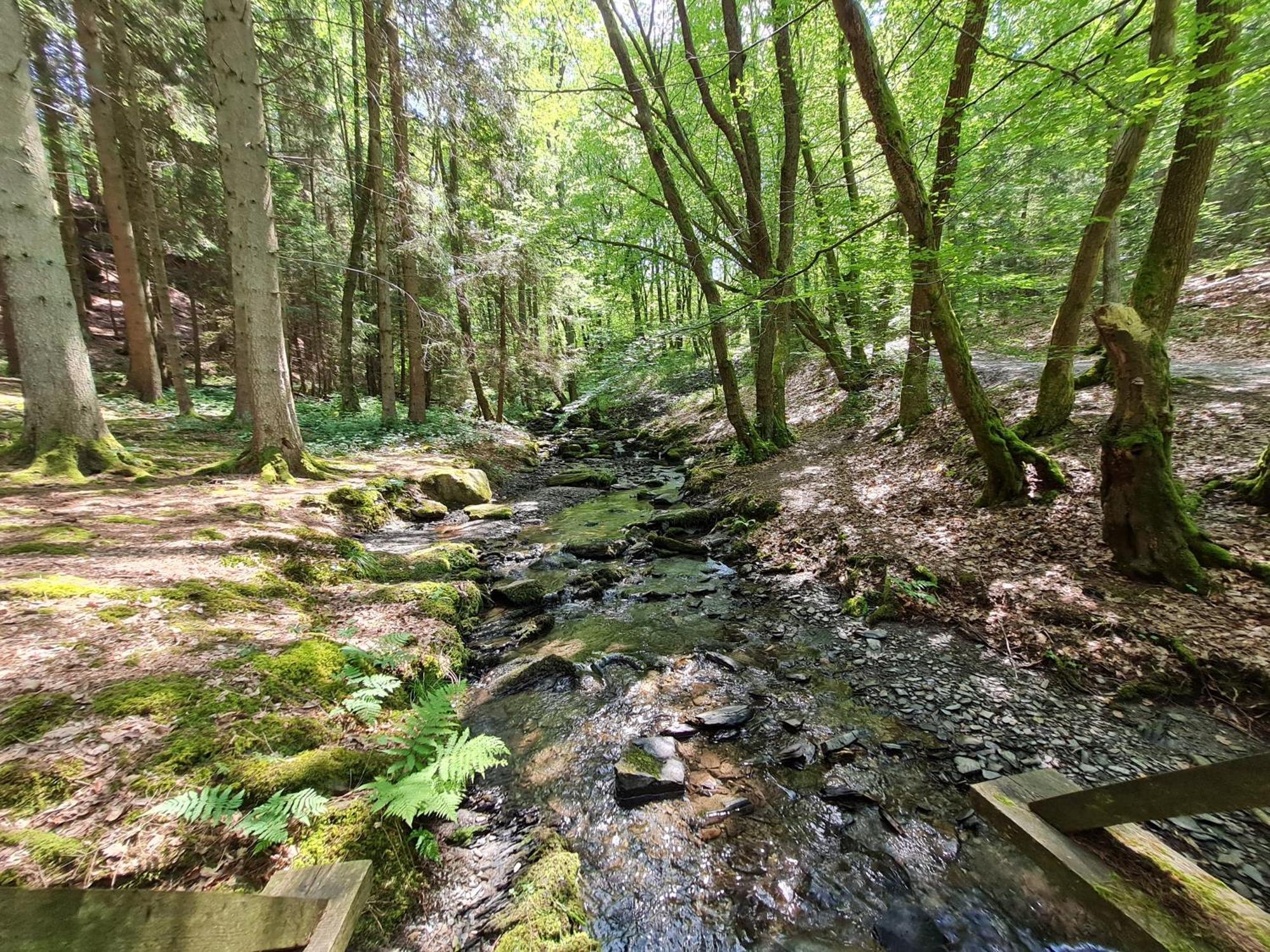 Ferienhaus Droefter Blick Monschau Bagian luar foto