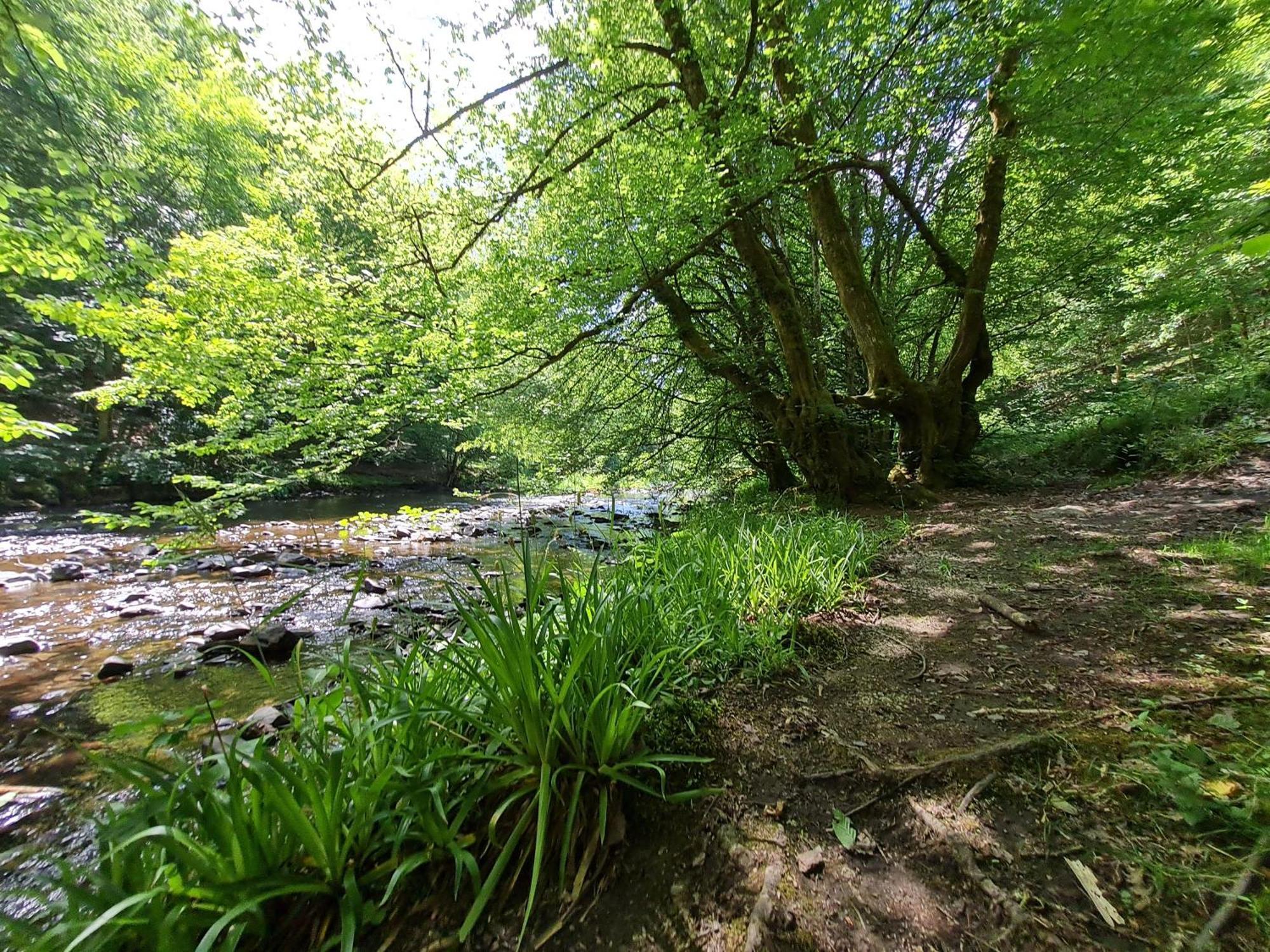 Ferienhaus Droefter Blick Monschau Bagian luar foto