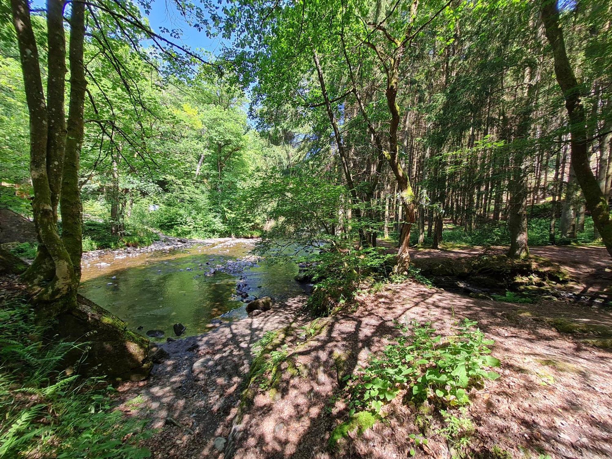 Ferienhaus Droefter Blick Monschau Bagian luar foto